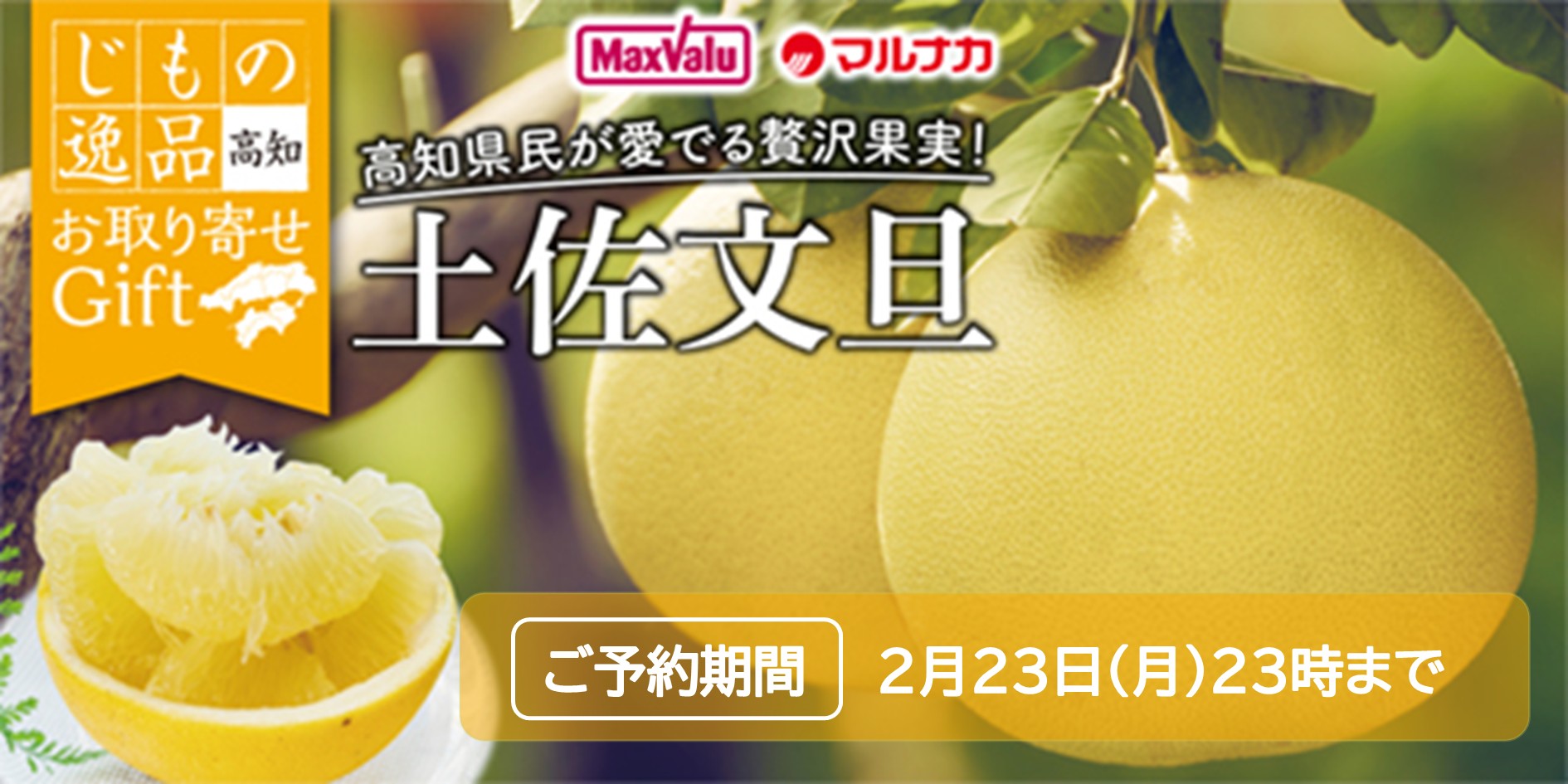 〈オンラインストア〉土佐文旦 お取り寄せギフト取扱中（2月23日まで）
