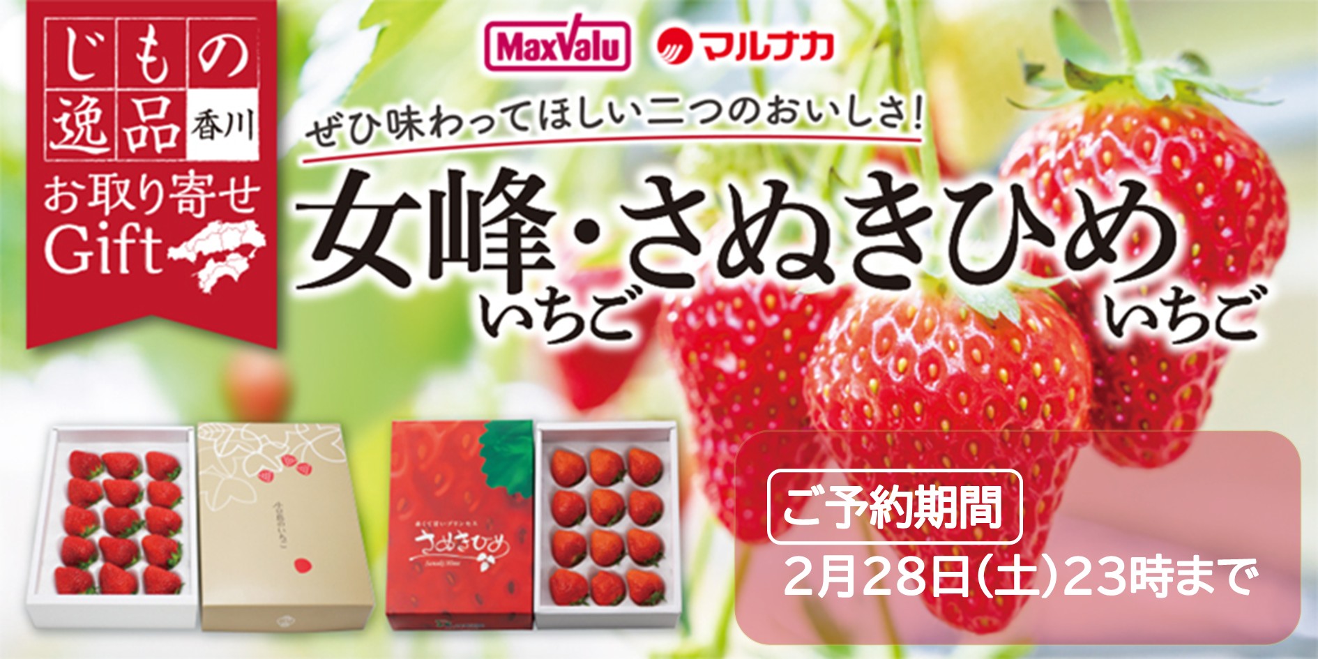 〈オンラインストア〉女峰・さぬきひめ お取り寄せギフト取扱中（2月28日まで） 