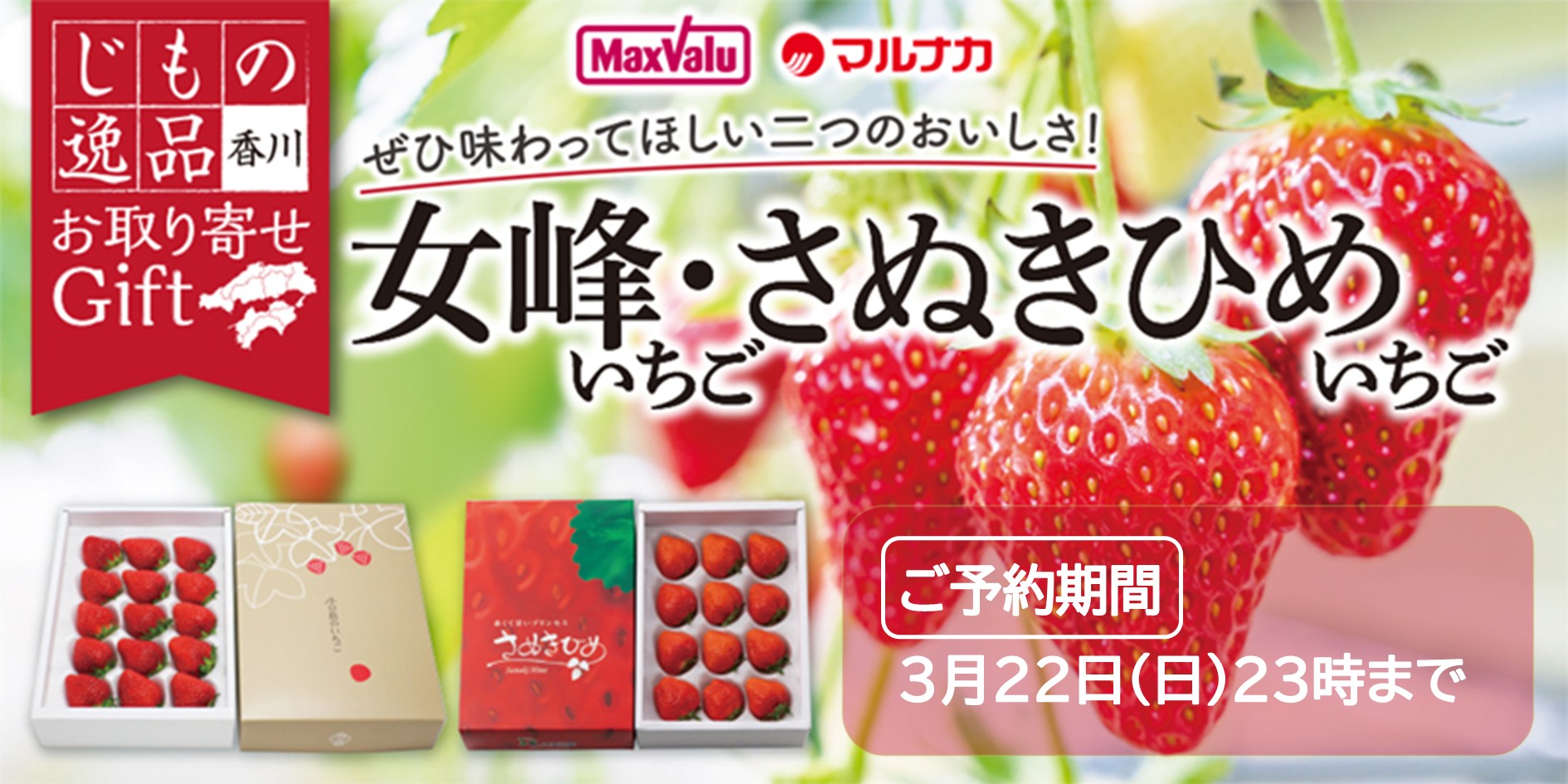 いちご■期間：～3/22(日)23時