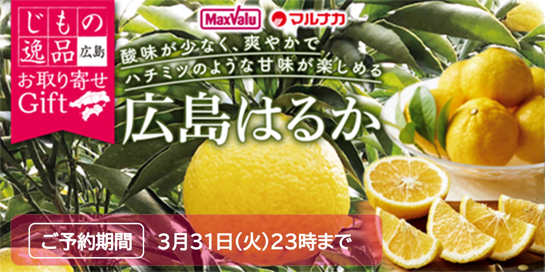 はるか■期間：～3/31(火)23時