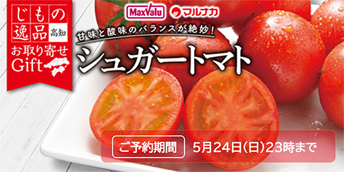 高知県産　シュガートマト■期間：～5/17 23時