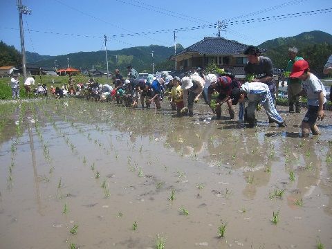 フジ ひめライス共同企画 親子でお米づくり体験 工場見学を開催しました フジの地域応援活動