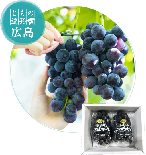 イメージ画像：広島県三次産 三次ピオーネ