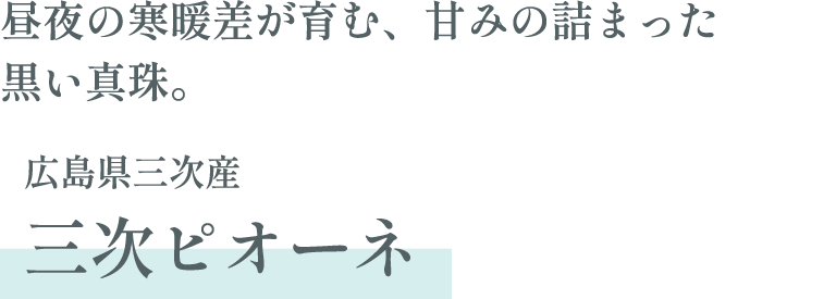 広島県三次産 三次ピオーネ