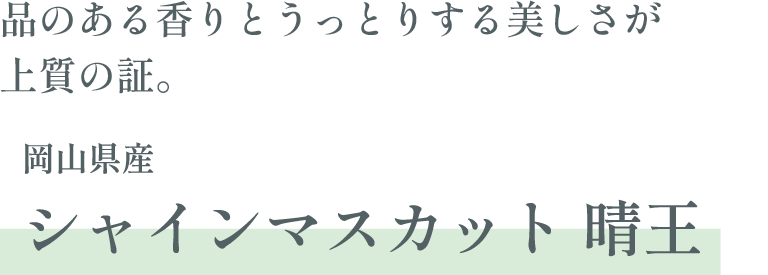 岡山県産 シャインマスカット 晴王