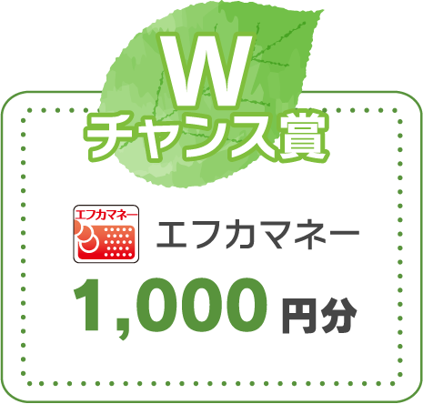 Wチャンス賞　エフカマネー 1,000円分