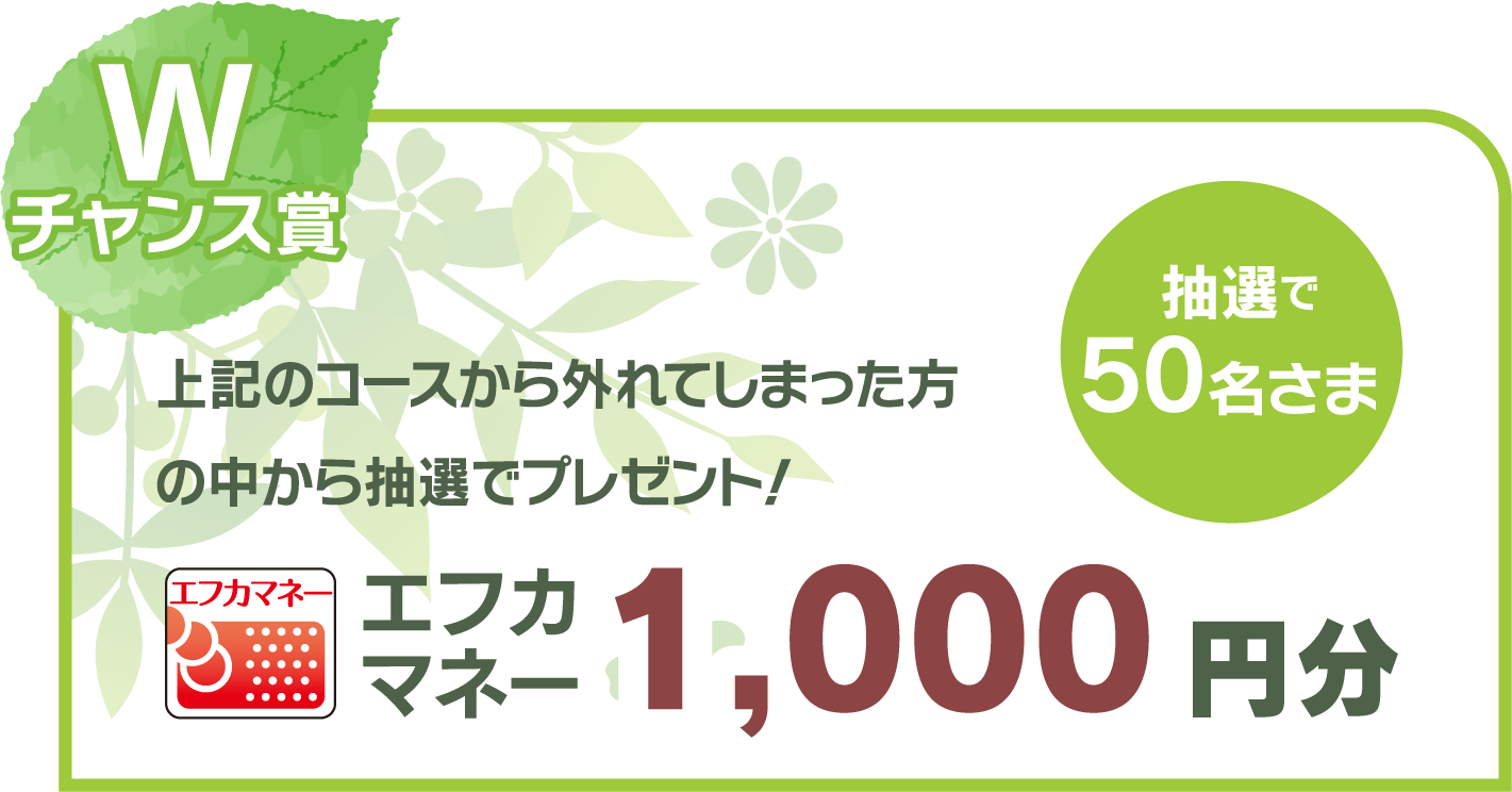 Wチャンス賞　エフカマネー 1,000円分　抽選で50名さま