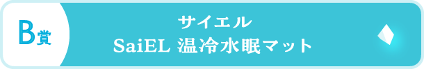 ボタン画像：B賞 サイエル SaiEL 温冷水眠マット