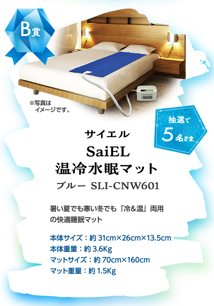イメージ画像：B賞 サイエル SaiEL 温冷水眠マット ブルー SLI-CNW601【抽選で5名さま】