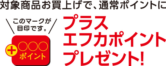 エフカ会員さまお買得特典！