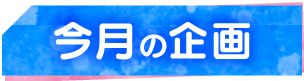 今月の企画