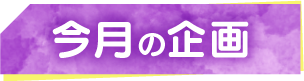 今月の企画