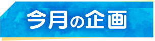 今月の企画