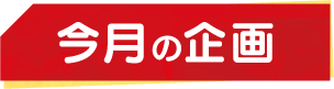 今月の企画