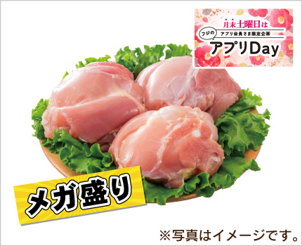 精肉メガ盛りシリーズ