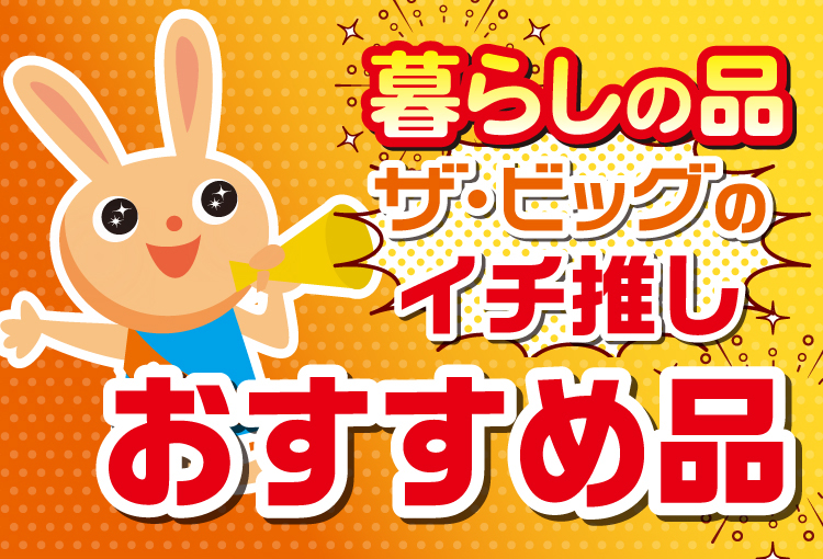 暮らしの品 ザ・ビッグのイチ推し おすすめ品