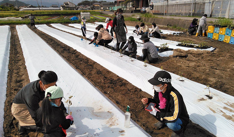 農業や販売体験を通じて食べ物について学ぼう！