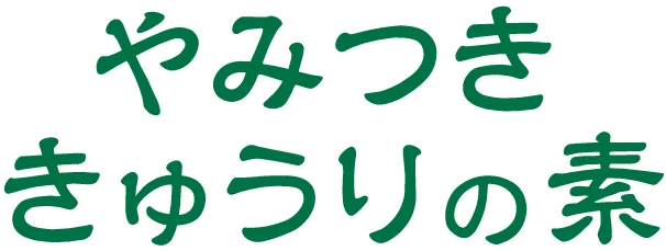 やみつききゅうりの素