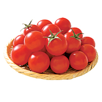 熊本県産　特別栽培ミニトマト