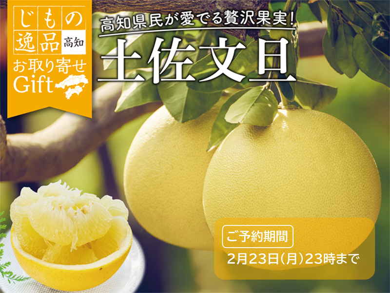 〈オンラインストア〉土佐文旦 お取り寄せギフト取扱中（2月23日まで） 