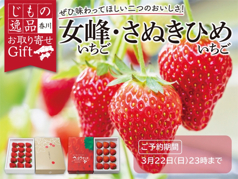 お取り寄せGift　いちご 