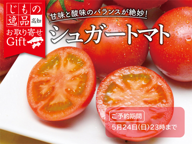 サムネ画像：高知県産　シュガートマト